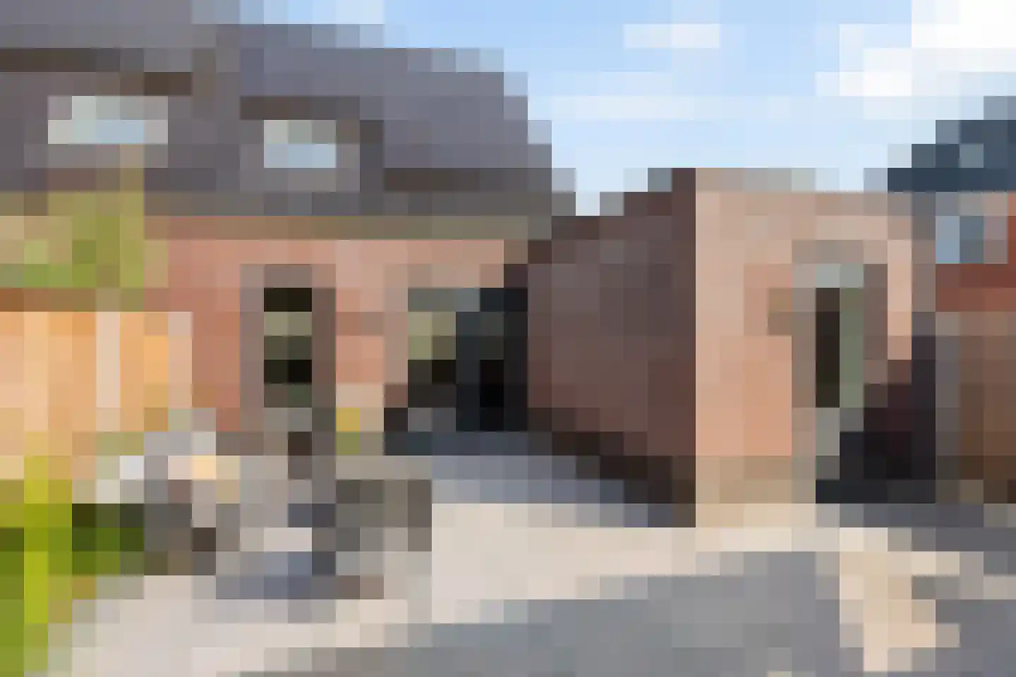 Hopmanstraat 40 Denekamp thumbnail 18
