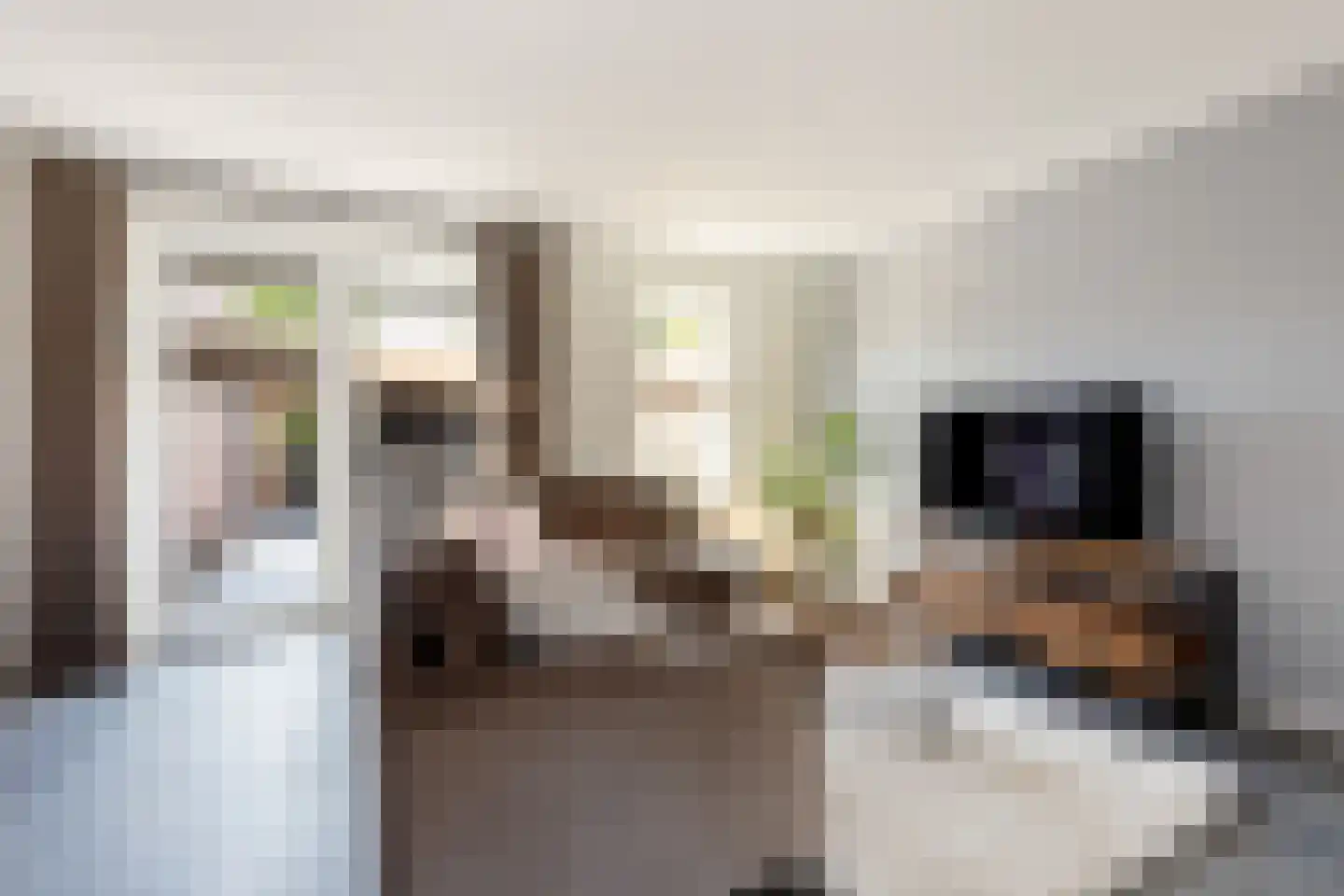 Hopmanstraat 40 Denekamp thumbnail 6