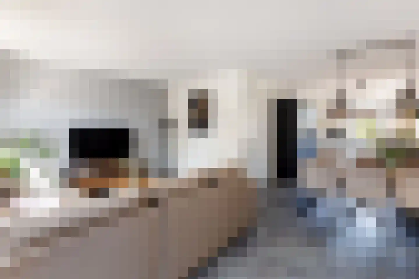 Hopmanstraat 40 Denekamp thumbnail 8