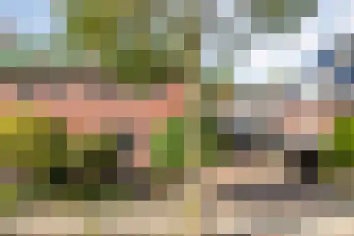 Hopmanstraat 45 Denekamp thumbnail 23