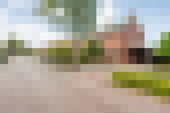 Hopmanstraat 45 Denekamp thumbnail 25