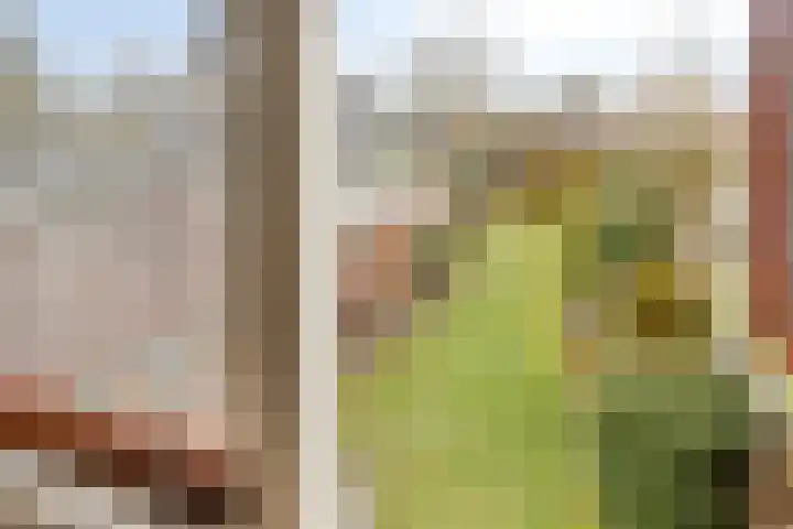 Hopmanstraat 5 Denekamp thumbnail 15