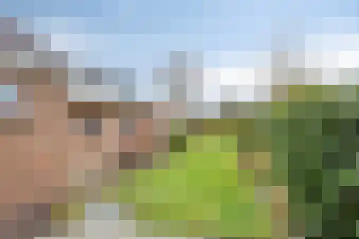 Hopmanstraat 5 Denekamp thumbnail 20