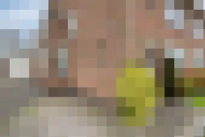 Hopmanstraat 5 Denekamp thumbnail 27