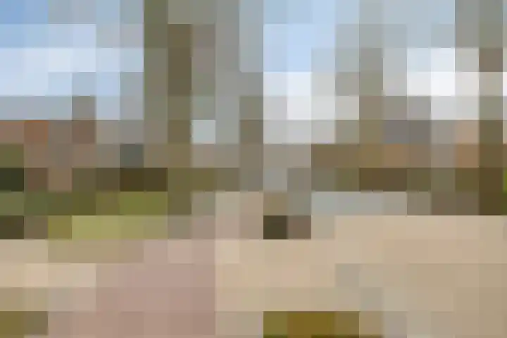 Hopmanstraat 5 Denekamp thumbnail 32