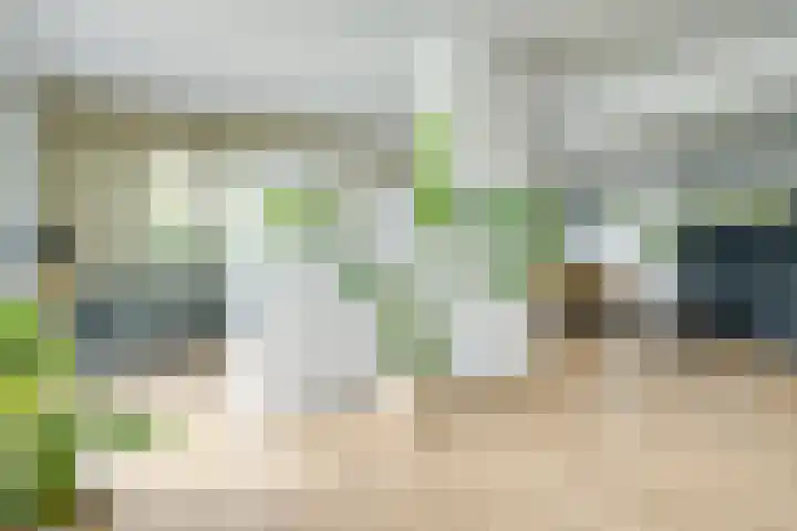 Hopmansweg 12 Midlum thumbnail 14