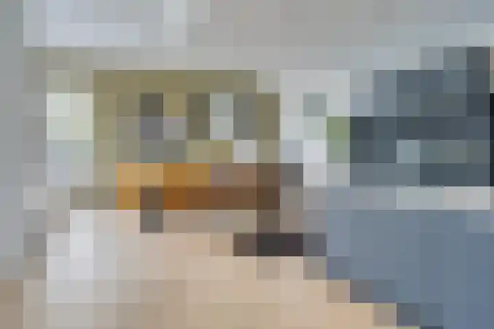 Hopmansweg 12 Midlum thumbnail 18