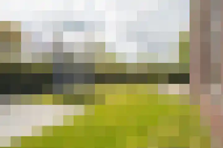 Hopmansweg 12 Midlum thumbnail 37