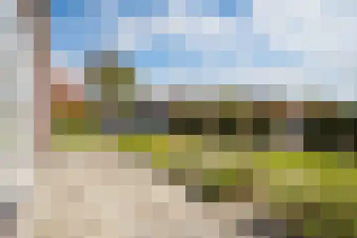 Hopmansweg 12 Midlum thumbnail 38