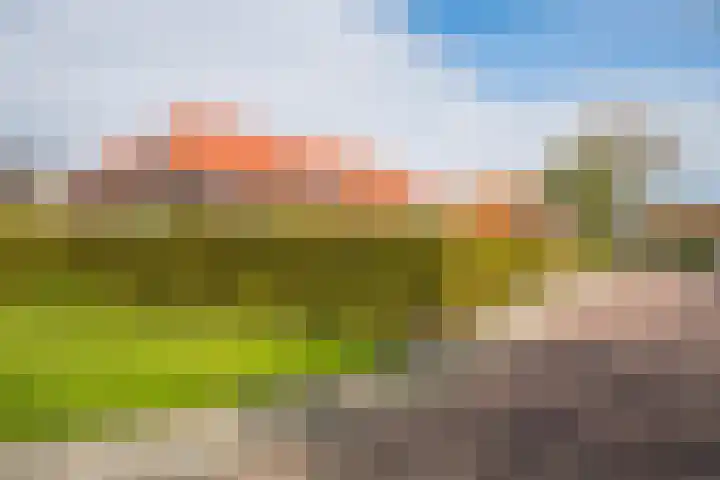 Hopmansweg 12 Midlum thumbnail 4