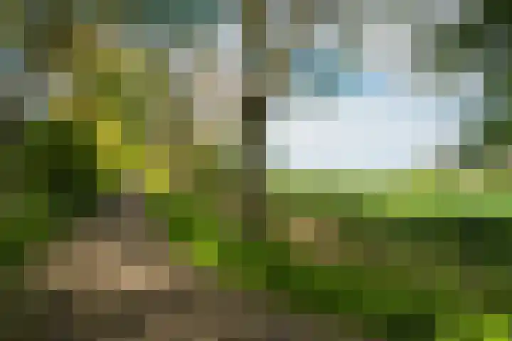 Hopmansweg 12 Midlum thumbnail 40