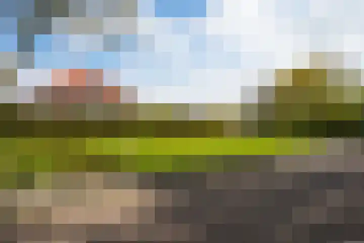 Hopmansweg 12 Midlum thumbnail 7