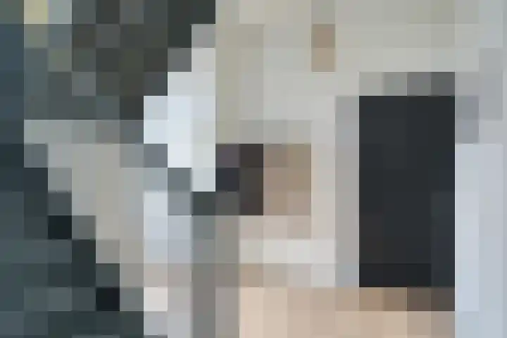 Hopmansweg 12 Midlum thumbnail 8