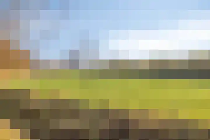 Hoppad 10 Geffen thumbnail 41