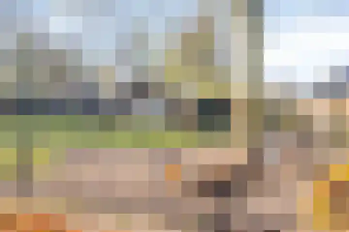 Hoppad 10 Geffen thumbnail 42
