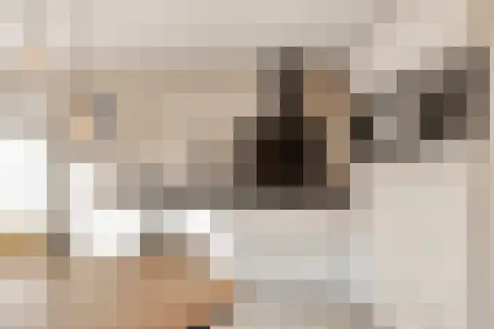 Hoppad 10 Geffen thumbnail 7
