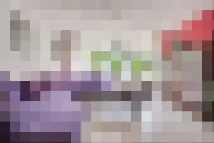 Hoppad 11 Valkenswaard thumbnail 18