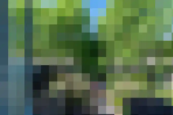 Hoppad 11 Valkenswaard thumbnail 25