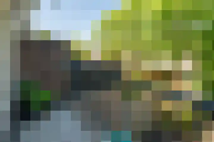 Hoppad 11 Valkenswaard thumbnail 27
