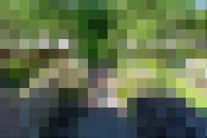 Hoppad 11 Valkenswaard thumbnail 28