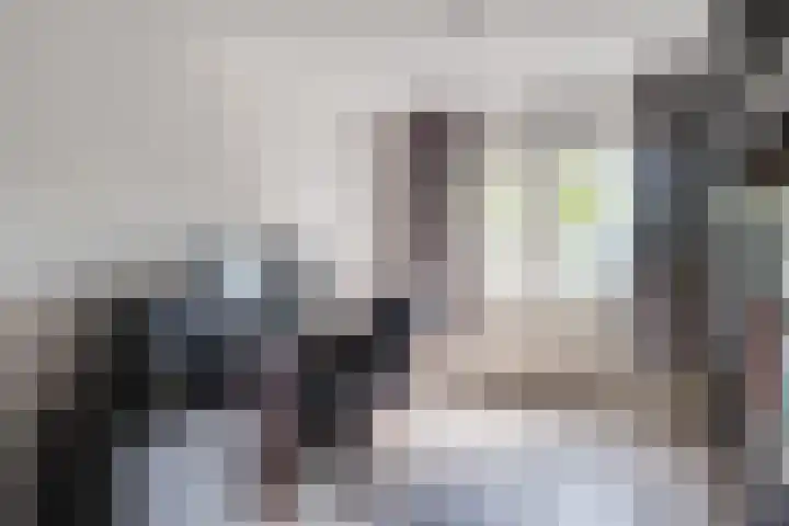 Hoppad 11 Valkenswaard thumbnail 35
