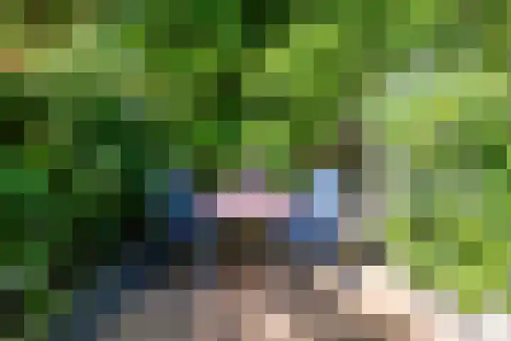 Hoppad 11 Valkenswaard thumbnail 42