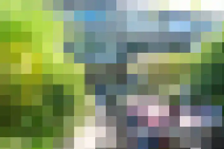 Hoppad 11 Valkenswaard thumbnail 43