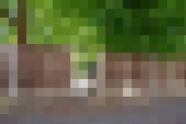 Hoppad 11 Valkenswaard thumbnail 45