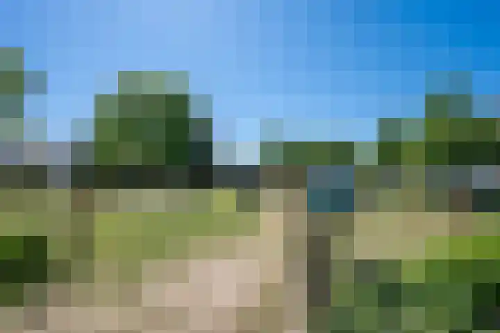 Hoppad 11 Valkenswaard thumbnail 46