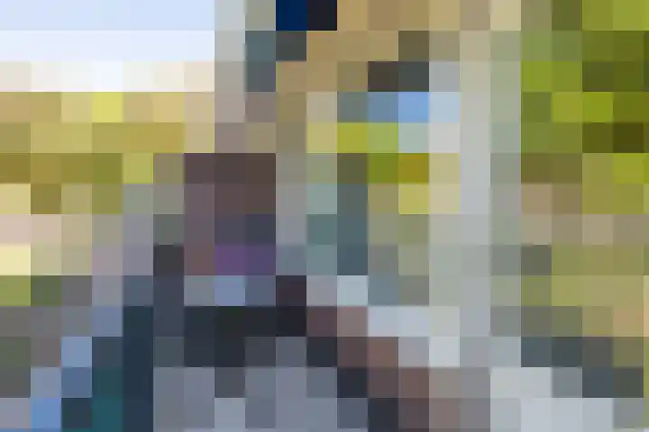 Hoppad 11 Valkenswaard thumbnail 5