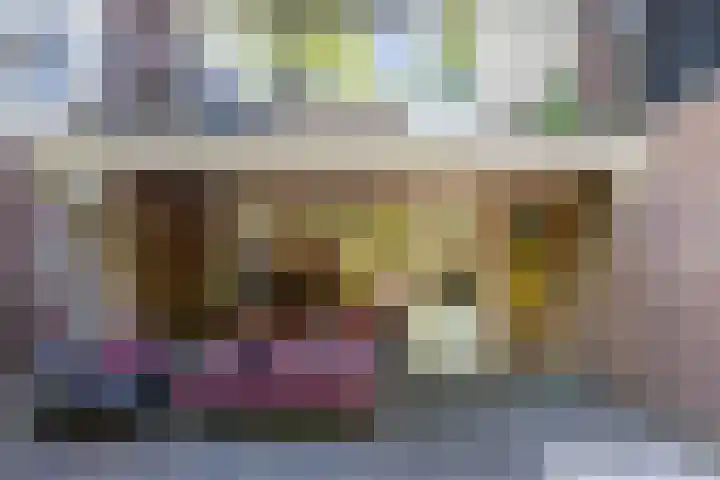 Hoppad 11 Valkenswaard thumbnail 6