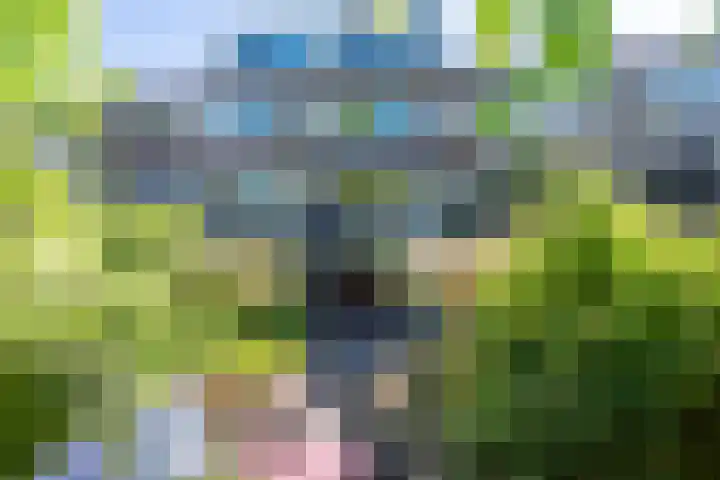 Hoppad 11 Valkenswaard thumbnail 62
