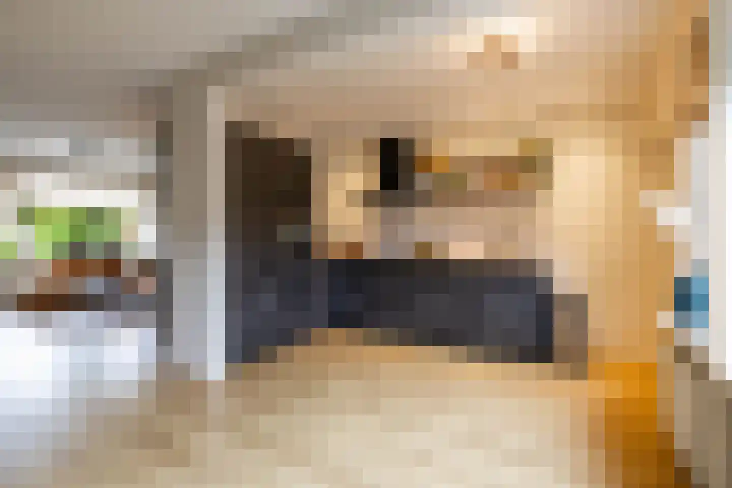 Hoppad 24 Roden thumbnail 16