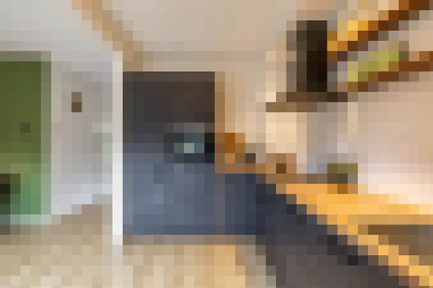 Hoppad 24 Roden thumbnail 17