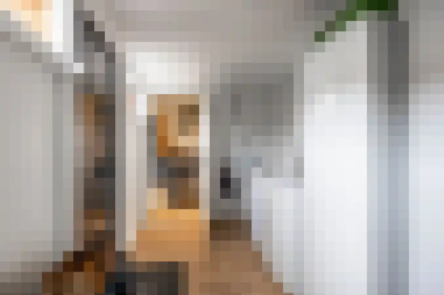 Hoppad 24 Roden thumbnail 20