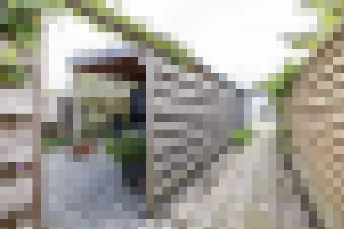 Hoppad 24 Roden thumbnail 23