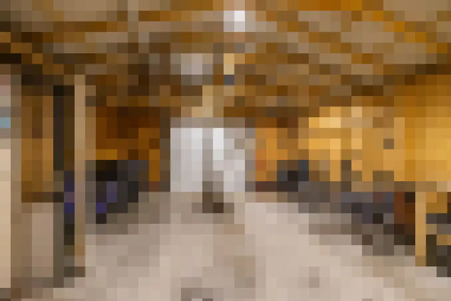 Hoppad 24 Roden thumbnail 26