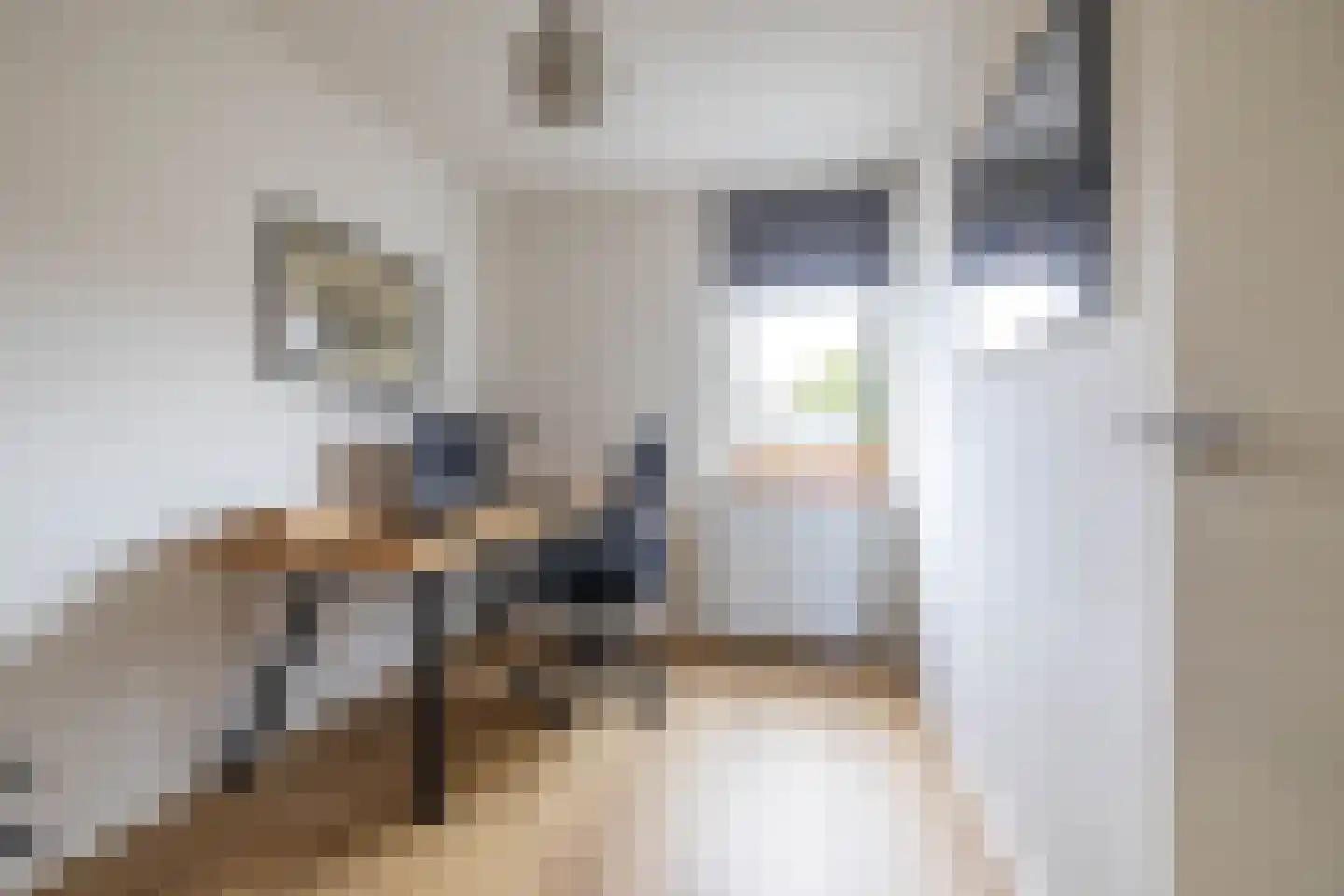 Hoppad 24 Roden thumbnail 38