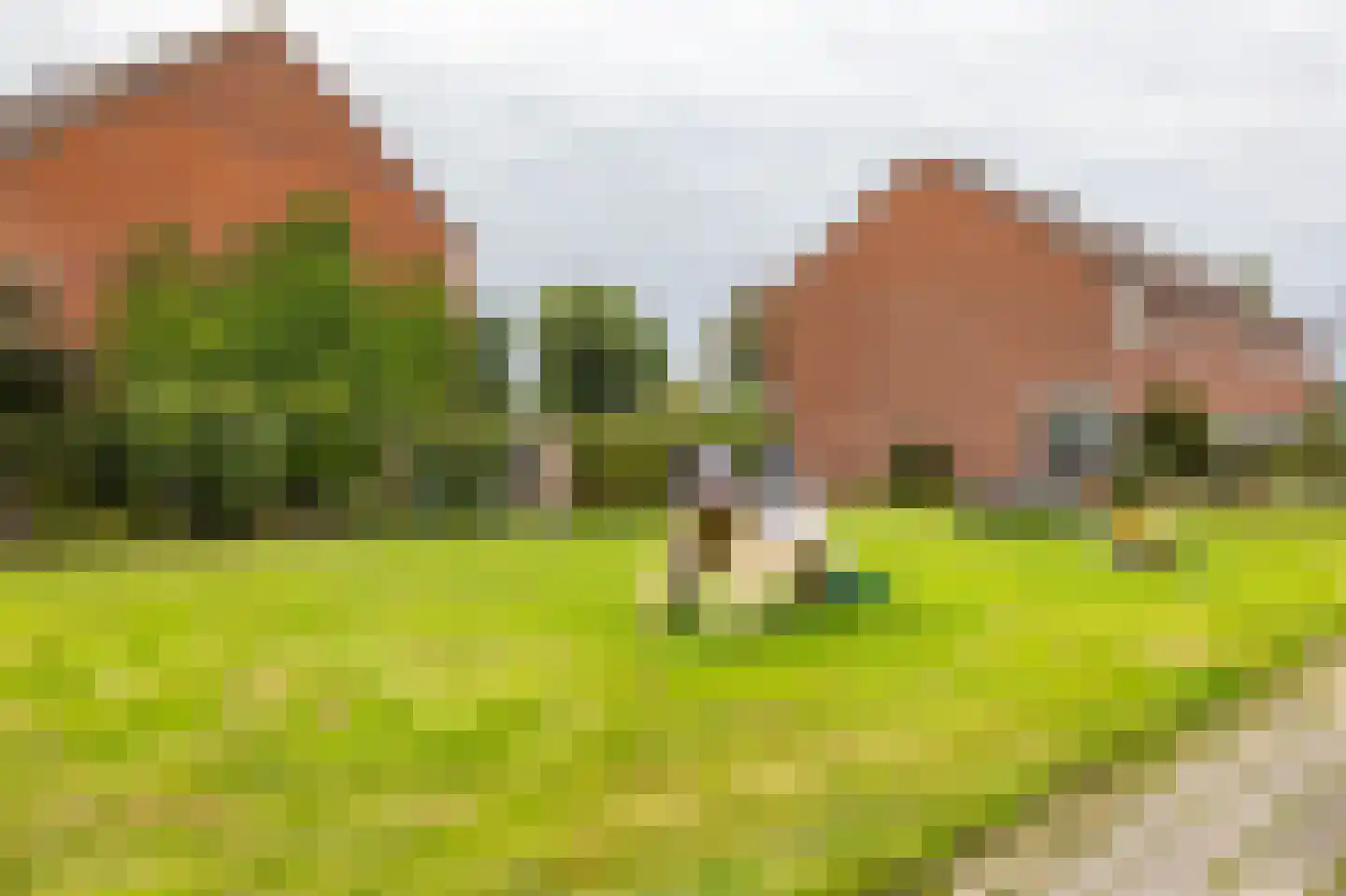 Hoppad 24 Roden thumbnail 44