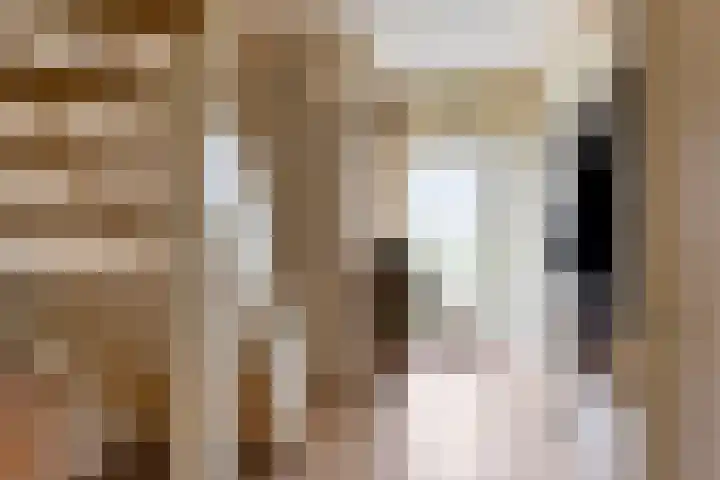 Hoppekampweg 2 D Peize thumbnail 14