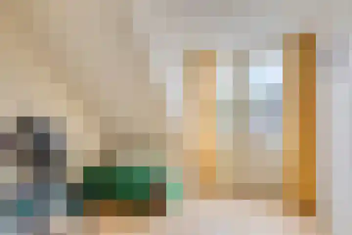 Hoppekampweg 2 D Peize thumbnail 19