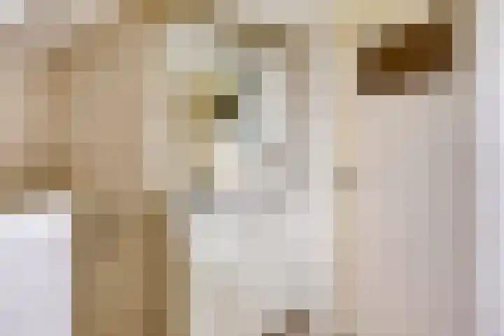 Hoppekampweg 2 D Peize thumbnail 21