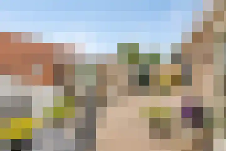 Hoppekampweg 2 D Peize thumbnail 23