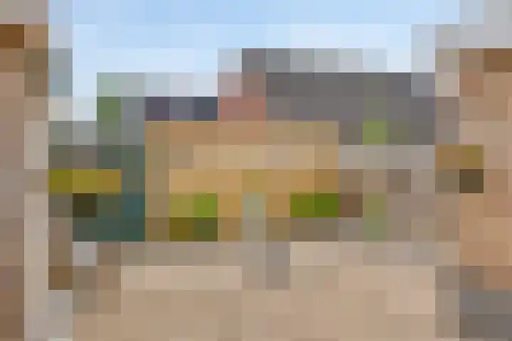 Hoppekampweg 2 D Peize thumbnail 24