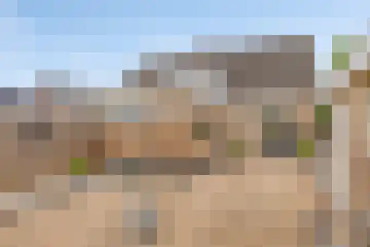 Hoppekampweg 2 D Peize thumbnail 25