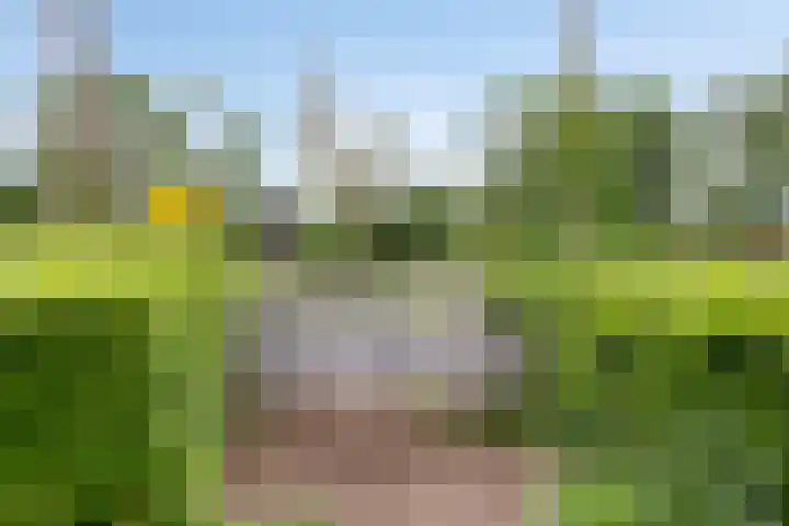 Hoppekampweg 2 D Peize thumbnail 29