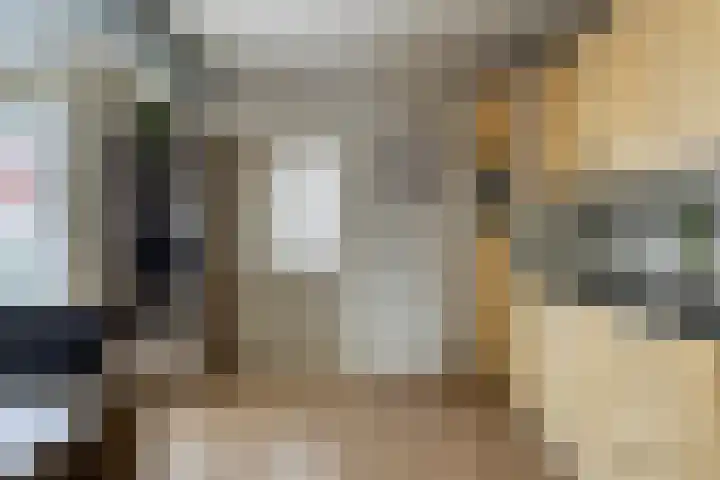 Hoppekampweg 2 D Peize thumbnail 9