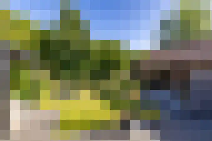 Hoppekampweg 5 Peize thumbnail 23