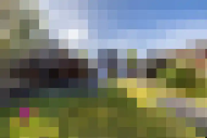 Hoppekampweg 5 Peize thumbnail 24