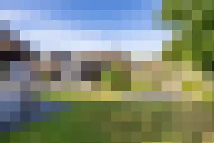 Hoppekampweg 5 Peize thumbnail 28